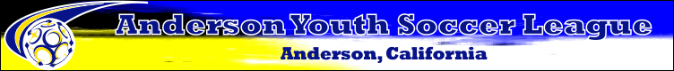 Anderson Youth Soccer League banner